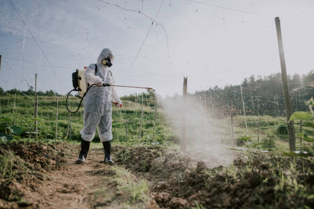 Best Mosquito Control Services  in Valley Mills, TX
