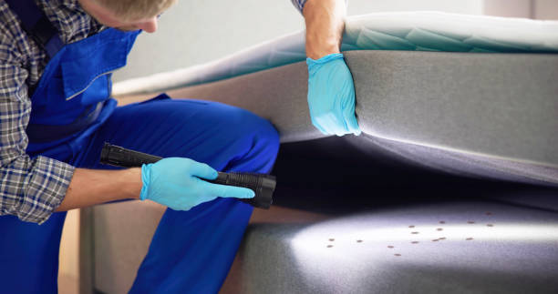 Trusted Valley Mills, TX Pest Control Experts